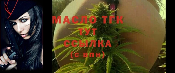 сатива Кинешма