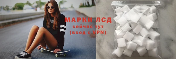сатива Кинешма