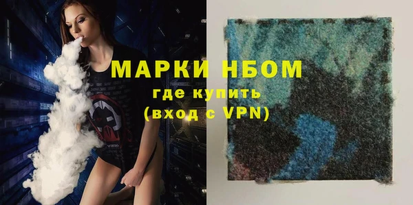 сатива Кинешма
