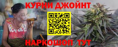 индика Будённовск