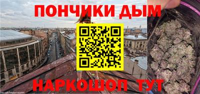 индика Будённовск