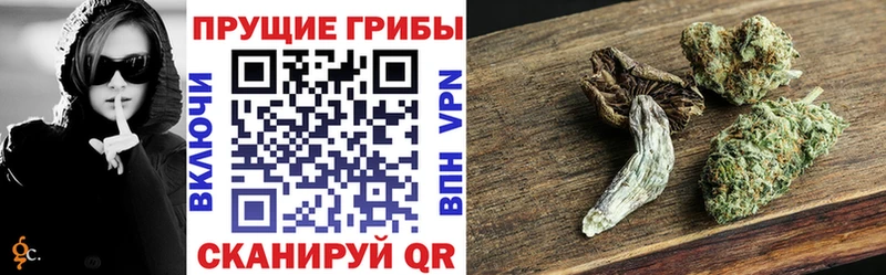 Псилоцибиновые грибы ЛСД Ковров