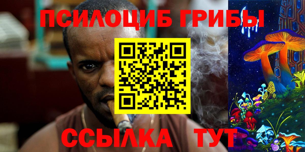 Псилоцибиновые грибы Psilocybe Ковров