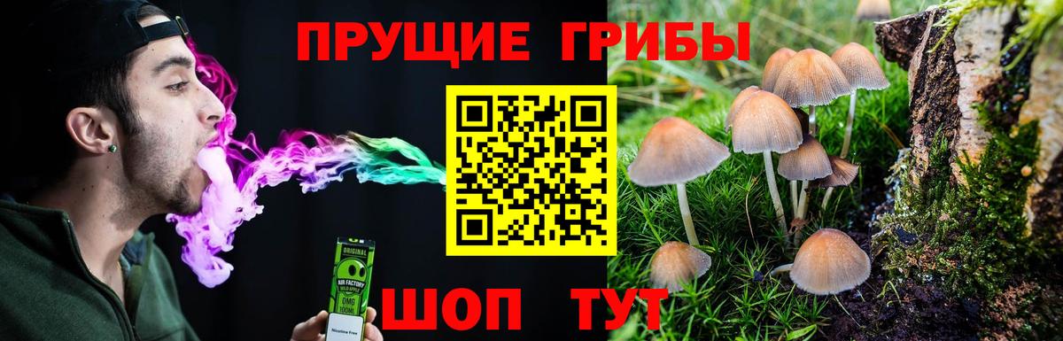 Ковров  Псилоцибиновые грибы прущие грибы  где купить наркотик  Вход с VPN 